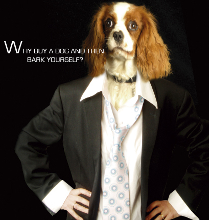 Dog in a Suit