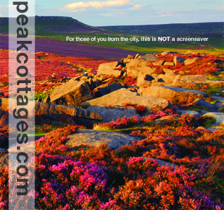 Peak Cottages Brochure Images